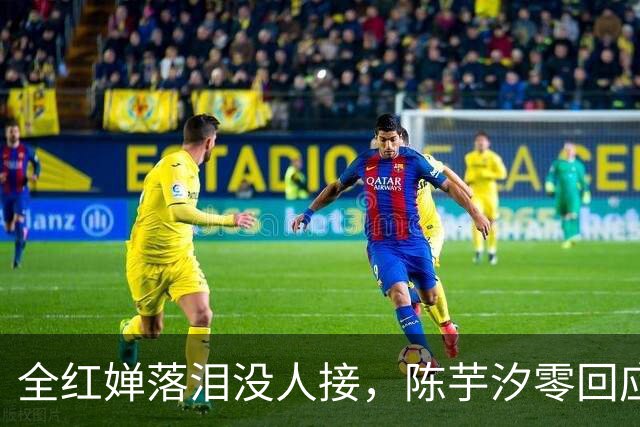 全红婵落泪没人接，陈芋汐零回应，搭档关系被撕开，不再演体面