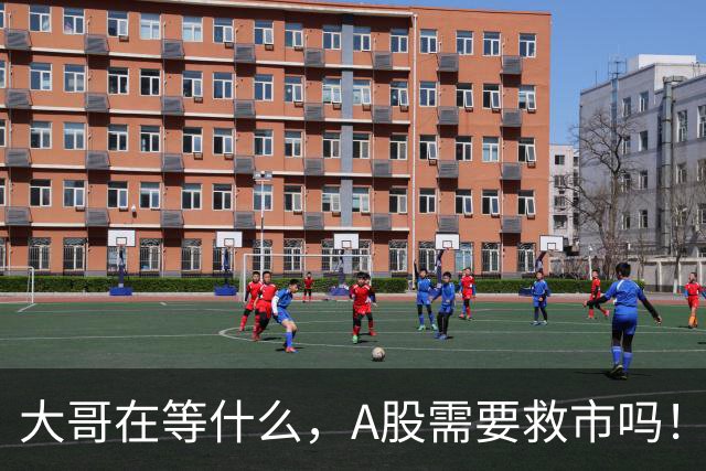 大哥在等什么，A股需要救市吗！